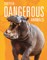 Super-Dangerous Animals
