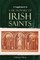 A Supplement to a Dictionary of Irish Saints