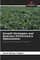 Growth Strategies and Business Performance Optimization