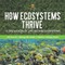 How Ecosystems Thrive