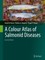 A Colour Atlas of Salmonid Diseases