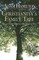 Christianity's Family Tree Participant's Guide