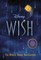 Disney Wish: The Deluxe Junior Novelization