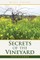 Secrets of the Vineyard Discovered
