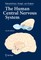 The Human Central Nervous System