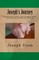 Joseph's Journey