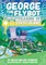 Chapter Book Sunbird George the Flybot and the Buried Treasure of the Rocky Mountains