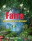 Faira