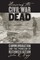 Honoring the Civil War Dead