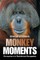 Monkey Moments