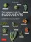 The Gardener's Guide to Succulents