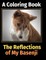 The Reflections of My Basenji