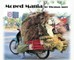 Moped Mania