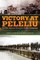 Victory at Peleliu, 30