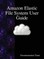 Amazon Elastic File System User Guide