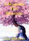 A Magnolia Tree Blossoms
