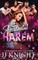 The Accidental Harem