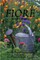 Fiore ...garden poetry...