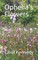 Ophelia's Flowers