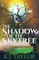 Shadow of the Skytree
