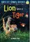 Lion Spies a Tiger