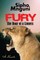 Fury