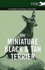 The Miniature Black and Tan Terrier - A Complete Anthology of the Dog The Miniature Black and Tan Terrier - A Complete Anthology of the Dog
