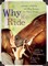 Why We Ride
