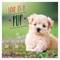 Love Is a Pup