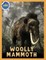Woolly Mammoth Activity Workbook ages 4-8