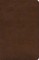 ESV Spanish/English Parallel Bible (La Santa Biblia Rvr 1960 / The Holy Bible Esv, Trutone, Brown)