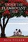Under the Flamboyant Tree