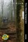 At Thru-Hikers' Companion 2025