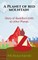A planet of red mountain