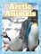 Arctic Animals (Cold Feet)