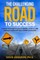 The Challenging Road to Success