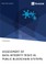 Assessment of Data Integrity Risks in Public Blockchain Systems