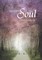 Lessons of the Soul