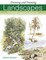 Landscape Problems and Solutions