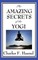 The Amazing Secrets of the Yogi