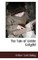 The Tale of Kiddie Katydid