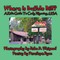 Where Is Buffalo Bill? a Kid's Guide to Cody, Wyoming, USA