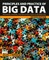 Principles and Practice of Big Data