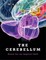 Cerebellum, The