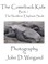 "the Comeback Kids" Book 1, the Northern Elephant Seals