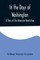 In the Days of Washington; A Story of The American Revolution