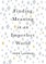 Finding Meaning in an Imperfect World