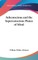 Subconscious and the Superconscious Planes of Mind