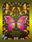 Butterflies and Bugs to Colour