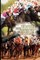 Exotic Wagering the Winning Way